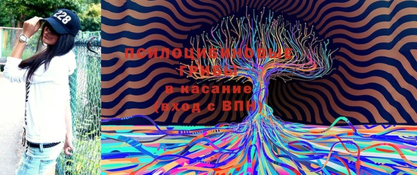 прущие крисы Киреевск