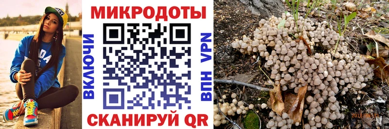 кракен онион  Чекалин  Галлюциногенные грибы мицелий 